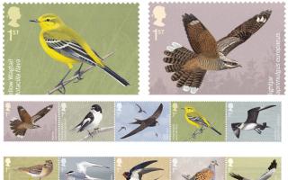 (Top left-clockwise) Yellow Wagtail stamp, Nightjar stamp, 10 new migratory bird stamps. Credit: Royal Mail/PA
