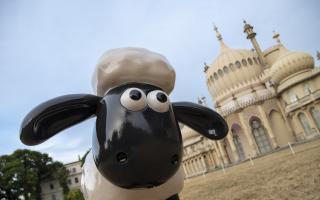 Shaun the Sheep will come to the streets of Brighton this September