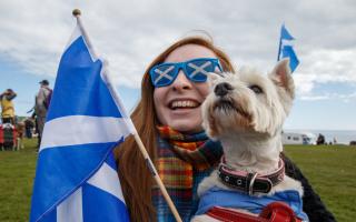 The poll is bringing good news for Yessers