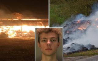 Joshua Brinkley, pictured, and Connor Luck have been sentenced for multiple fires across Sussex