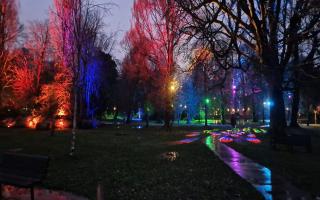 Hotham Park Illuminated