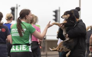 A dog giving high fives to runners