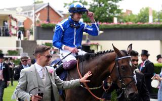 Tony Bloom's Venetian Sun has suffered a cut