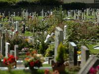 The Argus: Lewes Cemetery has been declared a pesticide-free zone by Lewes District Council