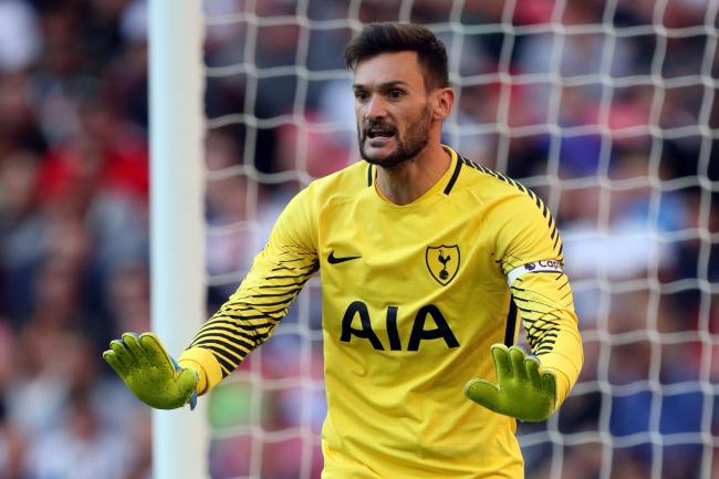 Image result for lloris